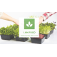 Набір для вирощування мікрозелені Кресс-Салат