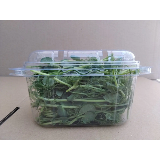 Контейнер для пакування мікрозелені (прозорий)